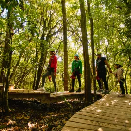 Family group walking along elevated boardwalk through native forest at Ōkere Zipline Rotorua