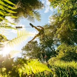 Person ziplining through native forest in Rotorua, New Zealand, with sunlight streaming through the trees and ferns in the foreground.