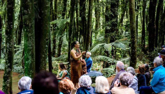 Māori performer sharing stories in native forest during Te Pā Tū’s cultural experience