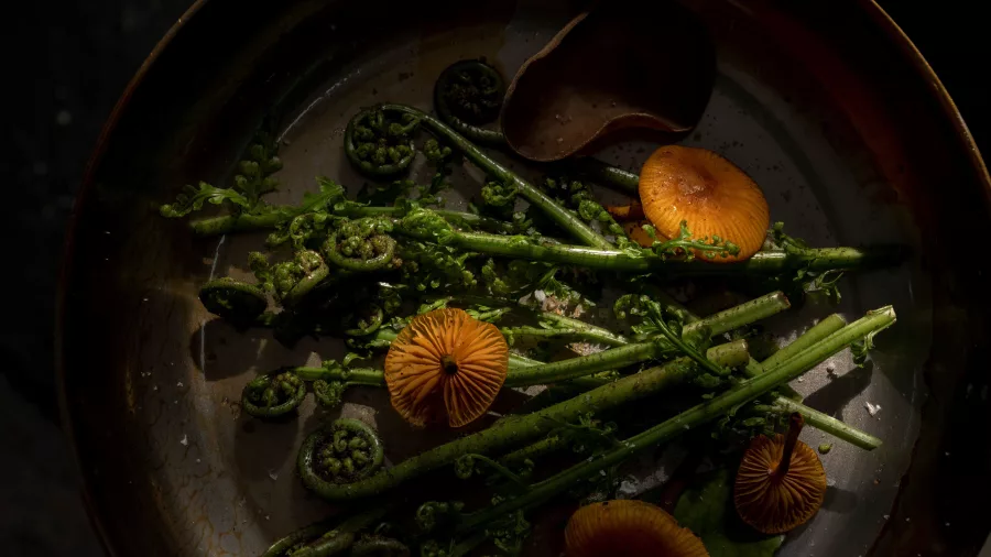 Close-up of pikopiko ferns and wild mushrooms used in Māori cuisine at Te Pā Tū