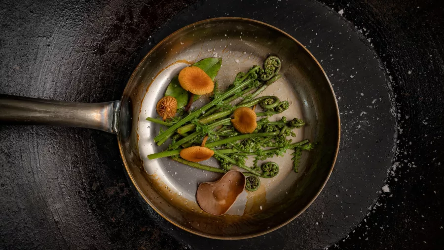 Wild forest ingredients including pikopiko fern and native mushrooms in a pan at Te Pā Tū