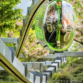 Two Shweeb pods seen from the front with riders pedalling hard in Rotorua