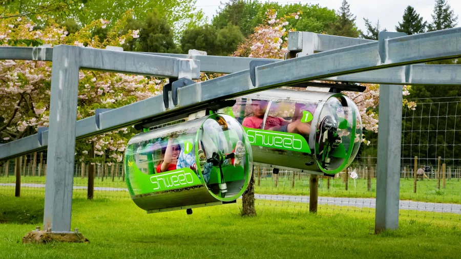 Shweeb riders racing through a track lined with spring blossoms at Velocity Valley