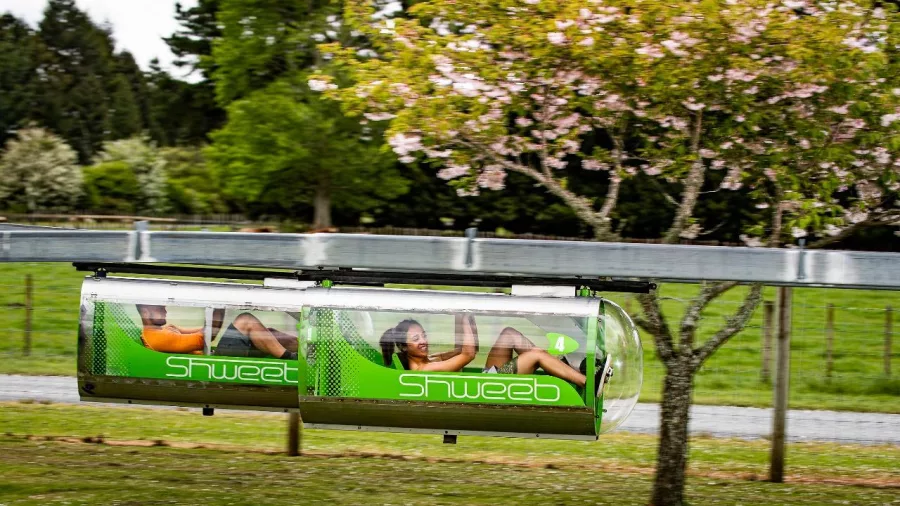 Shweeb Racer participants in motion pedalling past a lush grassy backdrop