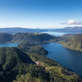 Aerial view of Lake Tarawera surrounded by native forest during a scenic floatplane flight with Volcanic Air