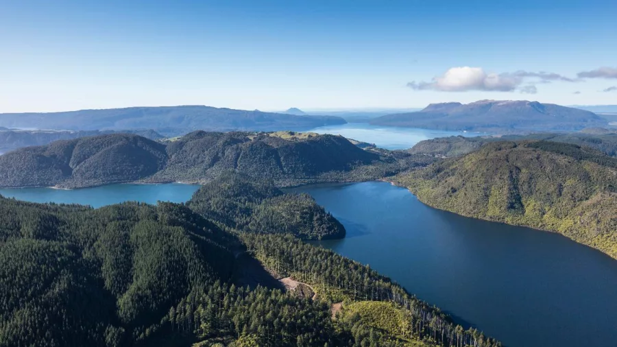 Aerial view of Lake Tarawera surrounded by native forest during a scenic floatplane flight with Volcanic Air