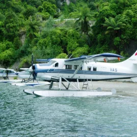 Volcanic Air floatplanes parked along the shores of Lake Tarawera, surrounded by lush native forest