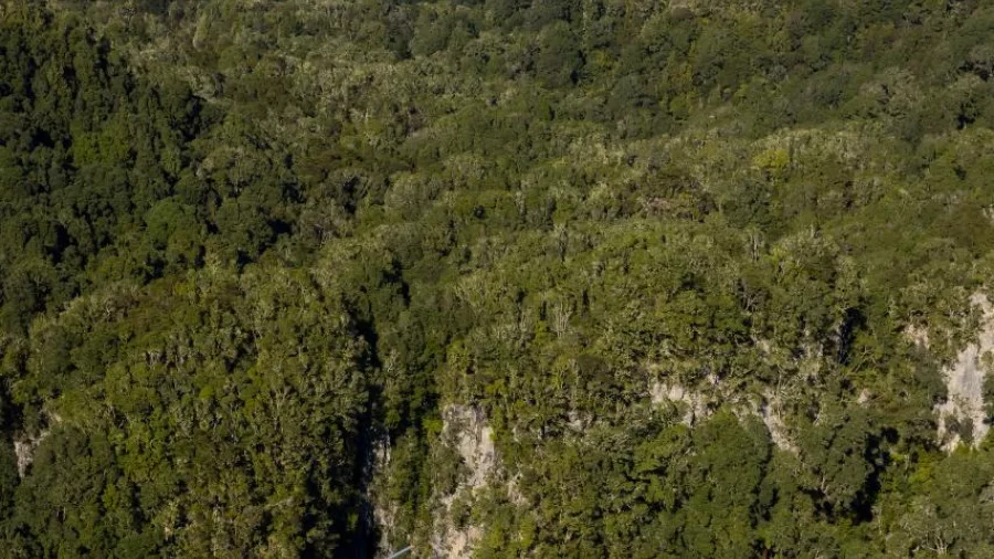 Aerial view of a helicopter hovering above Tarawera Falls with Mount Tarawera in the background