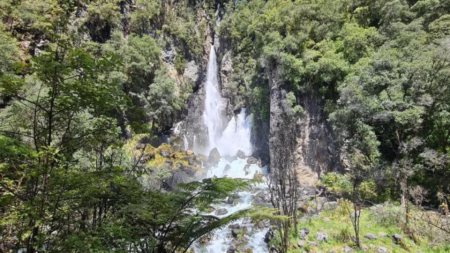 View of Tarawera Falls flowing from cliffs surrounded by native forest