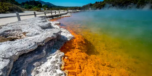 Steaming Champagne Pool with orange mineral edges at Wai-O-Tapu geothermal park in Rotorua
