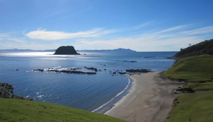 Looking out over Fletcher Bay and the coastline on the Coromandel Coastal Walkway
