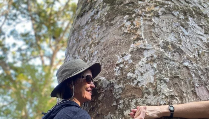 Woman hugging a giant kauri tree on the Long Bay Scenic Reserve walk