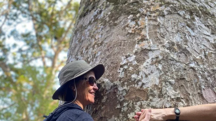 Woman hugging a giant kauri tree on the Long Bay Scenic Reserve walk