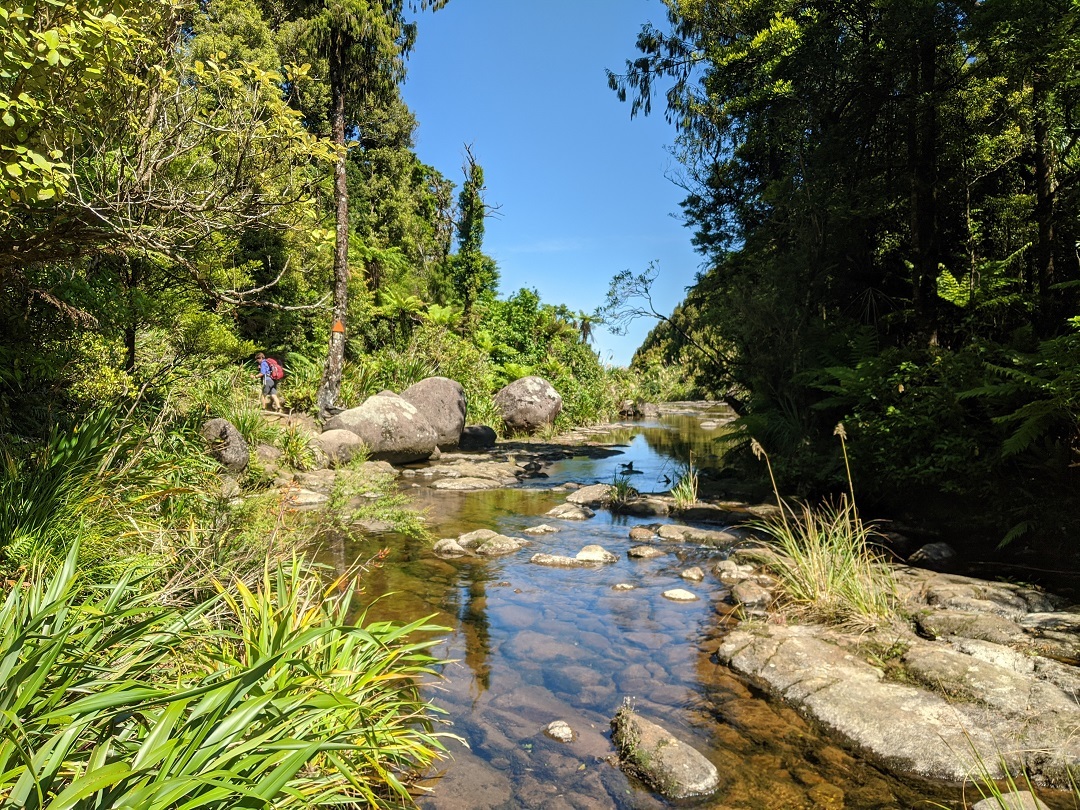 Hiking the Wairere Falls