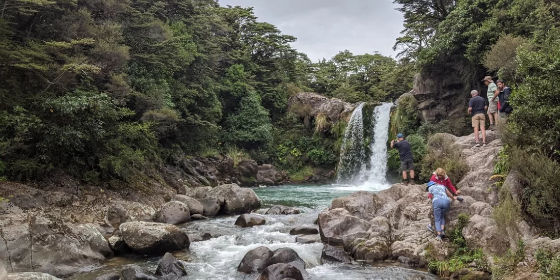 Tawhai Falls flowing through forested rocks – also known as Gollum’s Pool from Lord of the Rings