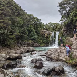 Tawhai Falls flowing through forested rocks – also known as Gollum’s Pool from Lord of the Rings