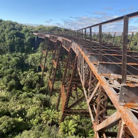 Historic iron viaduct surrounded by lush native bush on the Old Coach Road trail