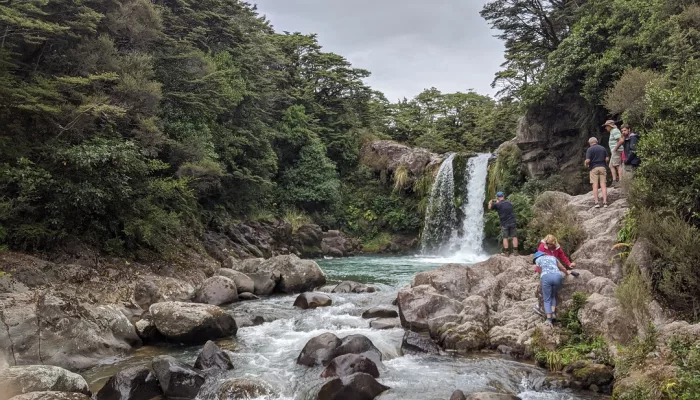 Tawhai Falls flowing through forested rocks – also known as Gollum’s Pool from Lord of the Rings