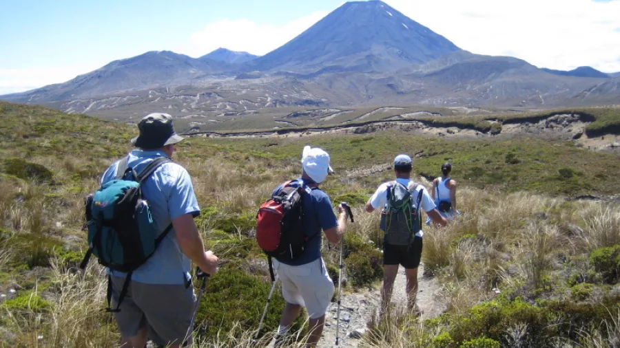 Group of hikers walking through tussock landscape towards Mount Ngauruhoe in Tongariro National Park