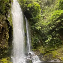 Korokoro Falls tumbling through native forest in Te Urewera, near Lake Waikaremoana