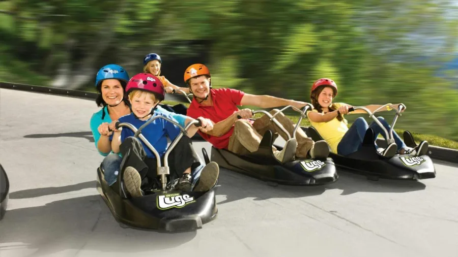 Family racing down the Skyline Rotorua Luge tracks in gravity-powered carts wearing helmets.