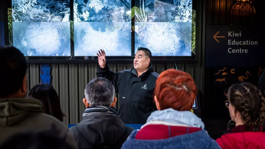 Te Puia guide speaking to visitors inside the Kiwi Conservation Centre in Rotorua