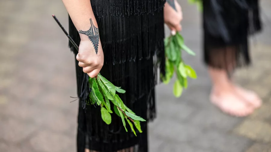 Close-up of Māori performer holding greenery during cultural performance at Te Puia, Rotorua