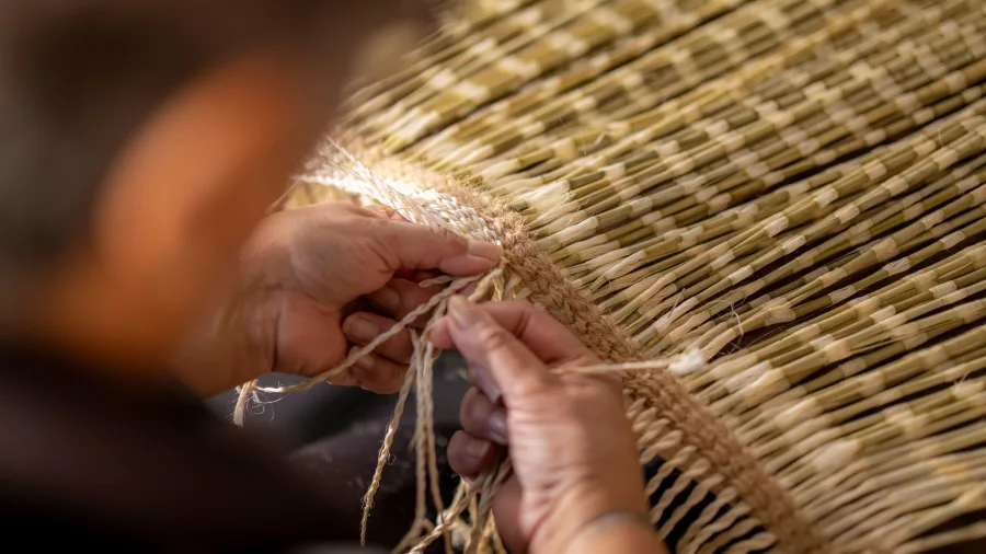 Close-up of hands weaving a traditional Māori piupiu skirt at Te Rito, the national weaving school at Te Puia in Rotorua