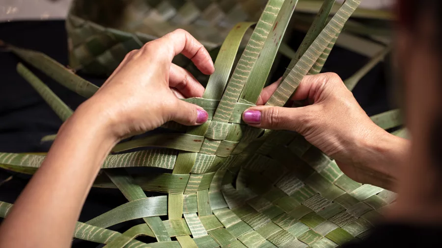 Close-up of hands weaving a traditional flax basket at Te Rito, Te Puia