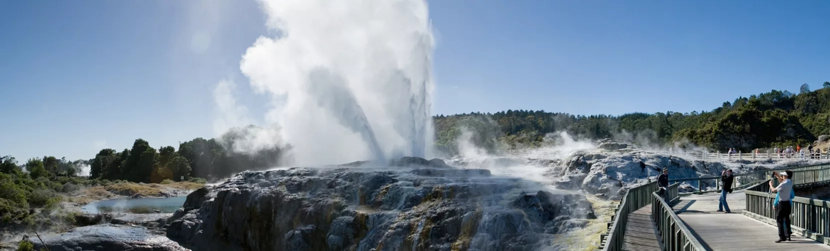 Pōhutu Geyser erupting under a clear blue sky at Te Puia in Rotorua with visitors on the boardwalk nearby