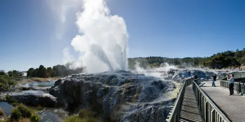 Pōhutu Geyser erupting under a clear blue sky at Te Puia in Rotorua with visitors on the boardwalk nearby