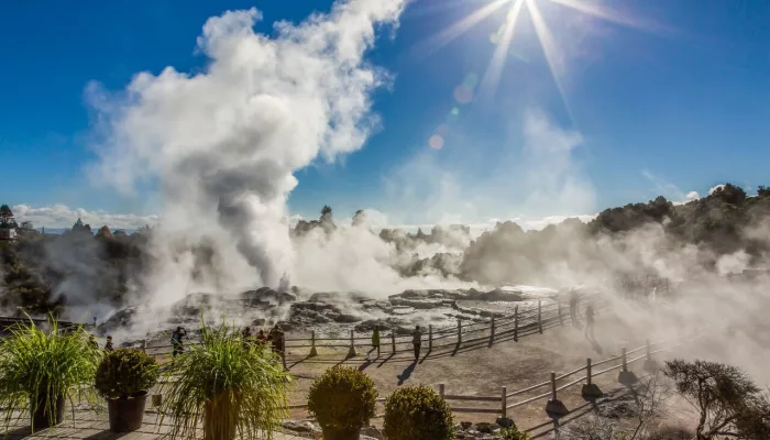 Steam rising from Pōhutu Geyser in Te Puia’s geothermal valley under bright sunlight