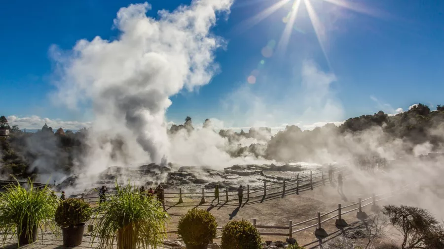 Steam rising from Pōhutu Geyser in Te Puia’s geothermal valley under bright sunlight