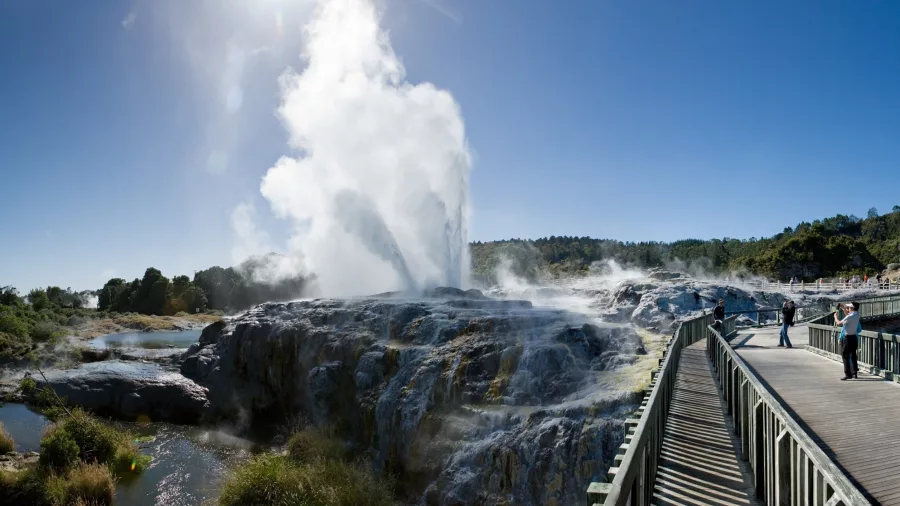 Pōhutu Geyser erupting under a clear blue sky at Te Puia in Rotorua with visitors on the boardwalk nearby