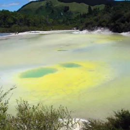 Colourful geothermal pool known as Artist’s Palette at Wai-O-Tapu near Rotorua, surrounded by native forest