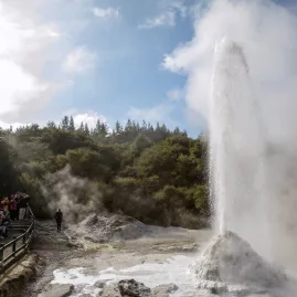 Lady Knox Geyser erupting in front of visitors at Wai-O-Tapu Thermal Wonderland near Rotorua, New Zealand