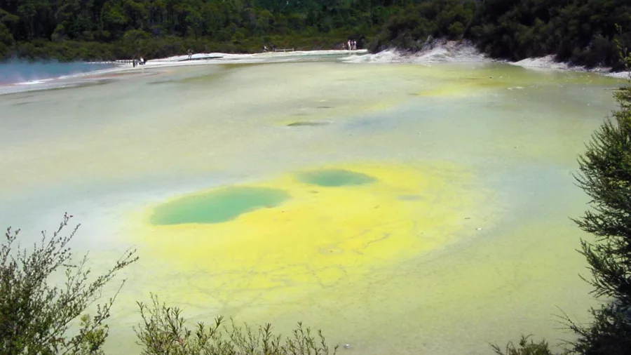 Colourful geothermal pool known as Artist’s Palette at Wai-O-Tapu near Rotorua, surrounded by native forest