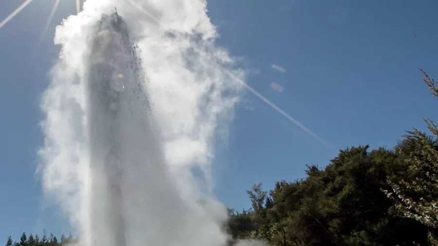 Lady Knox Geyser erupting under the sun at Waiotapu Thermal Wonderland, Rotorua