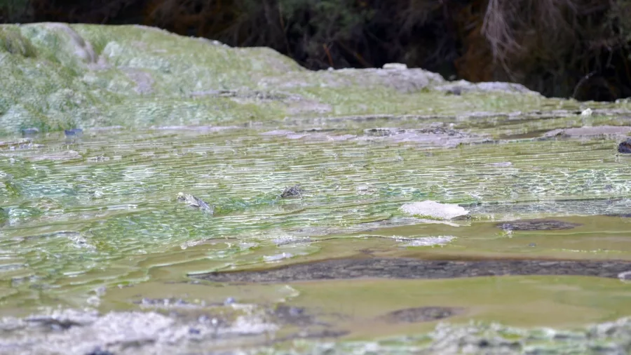 Close-up of colourful mineral deposits and geothermal textures at Wai-O-Tapu in New Zealand