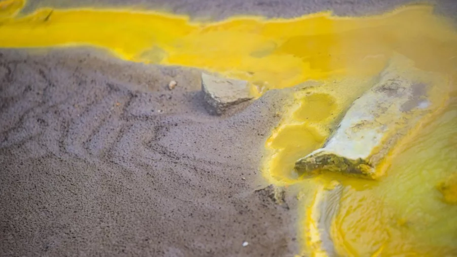 Bright yellow mineral deposits and geothermal flow on the surface at Wai-O-Tapu Thermal Wonderland in Rotorua, New Zealand