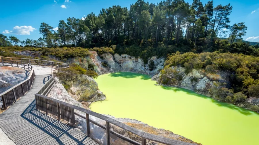 Vivid green Devils Bath geothermal pool at Wai-O-Tapu Thermal Wonderland, Rotorua