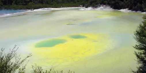 Colourful geothermal pool known as Artist’s Palette at Wai-O-Tapu near Rotorua, surrounded by native forest