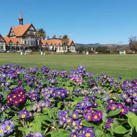 Purple flowers in front of historic Government Gardens building in Rotorua