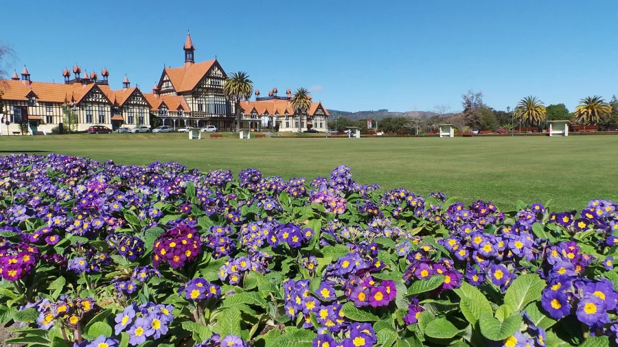 Purple flowers in front of historic Government Gardens building in Rotorua