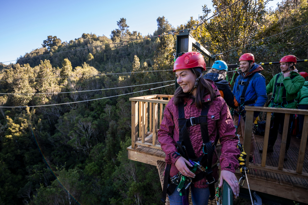 Rotorua Canopy Tours Ultimate Zipline Tour in Dansey Road Scenic Reserve