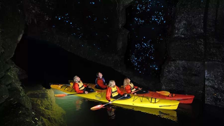Group kayaking at night through a glowworm-lit cave near Tauranga, Bay of Plenty, New Zealand