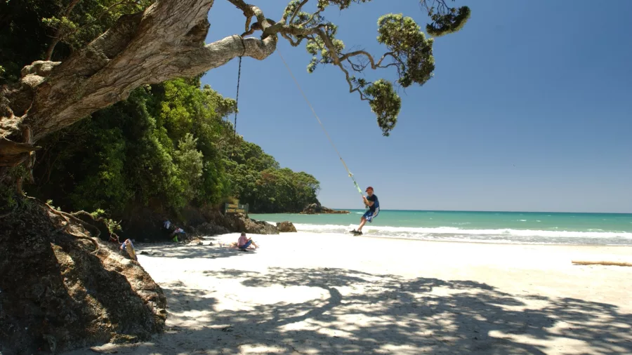 Child swinging from a tree over the sandy shoreline at Waihi Beach, Bay of Plenty, New Zealand