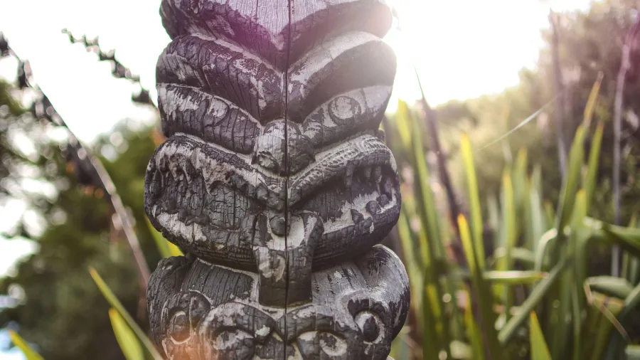Close-up of a weathered Maori carving in the Whakatane wetland, Bay of Plenty, New Zealand
