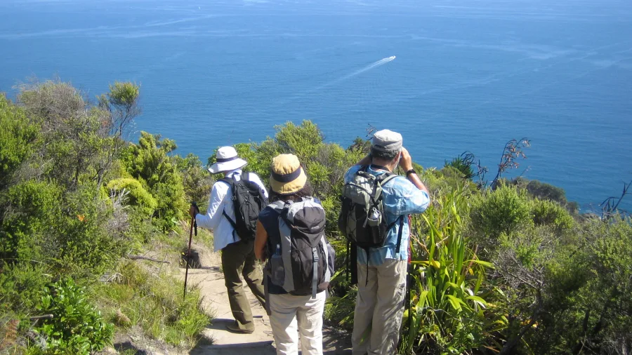 Hikers walking the Nga Tapuwae o Toi Footprints of Toi trail with ocean views in Whakatane, Bay of Plenty, New Zealand