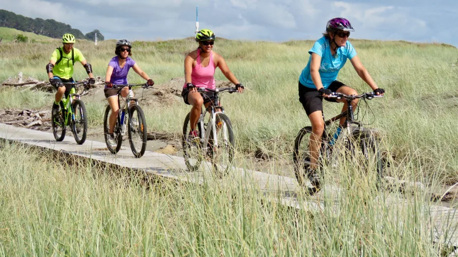 Group of cyclists riding along the Bay of Plenty coastline near Ohope, New Zealand